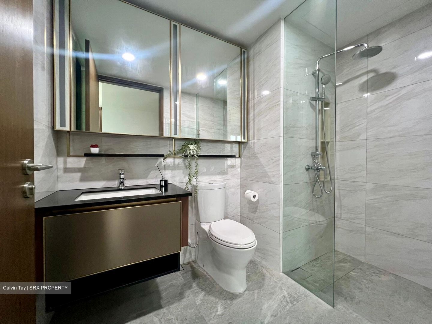 Normanton Park (D5), Apartment #419739771